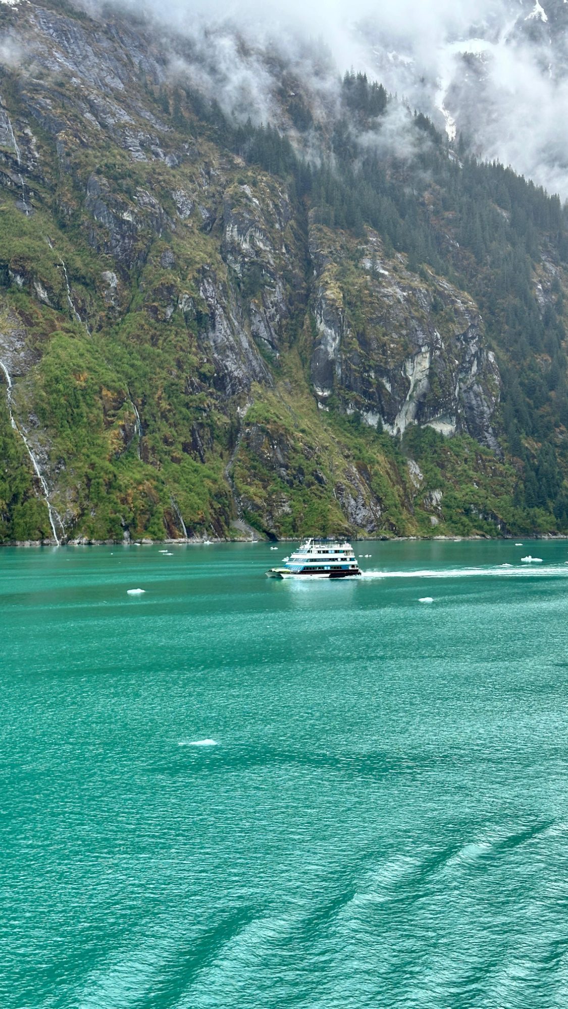 Best Alaska Cruise Itineraries for Families Who Don't Live Here